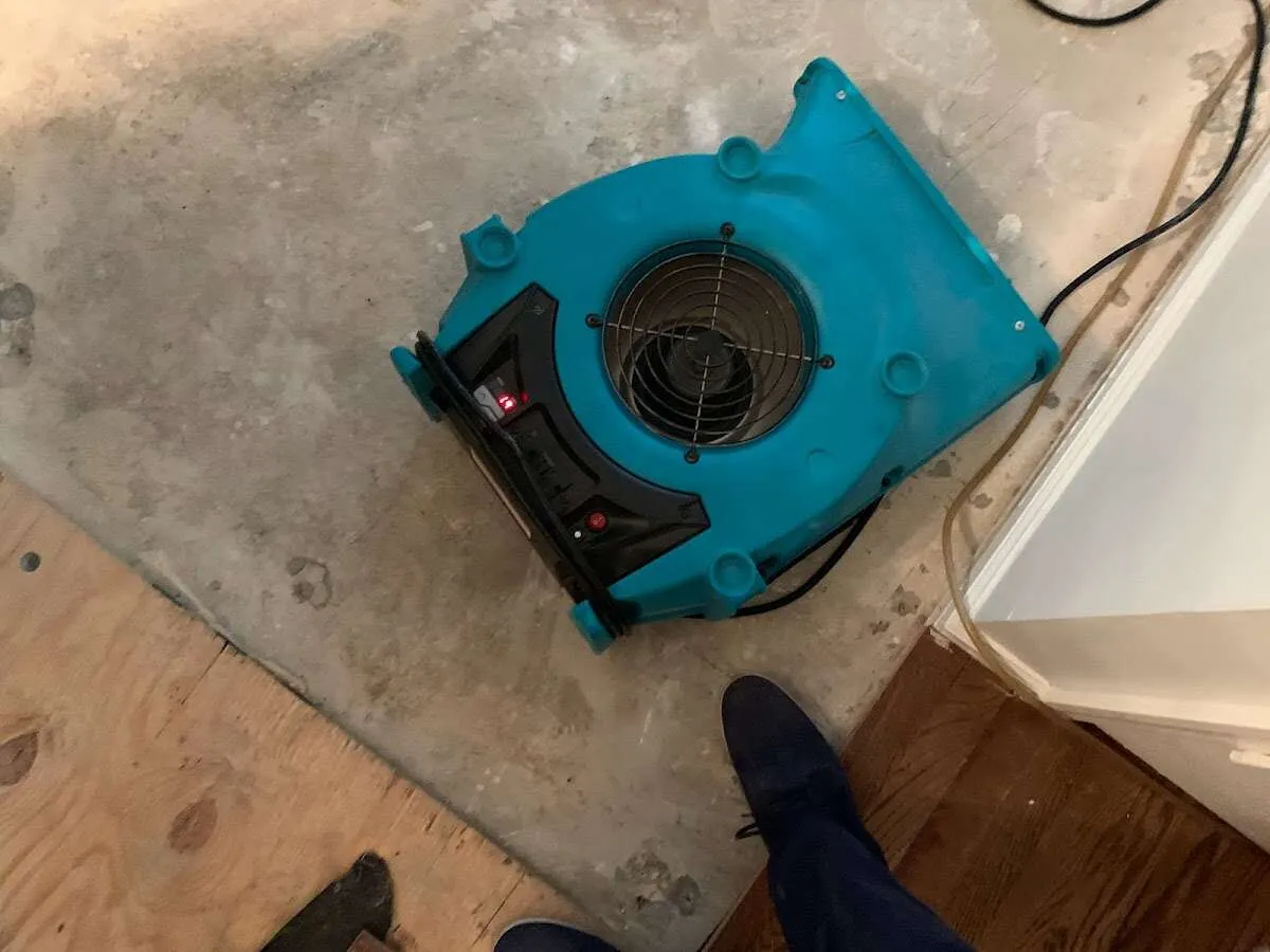 Air mover drying subfloor during Commercial Water Damage Restoration in Newstead